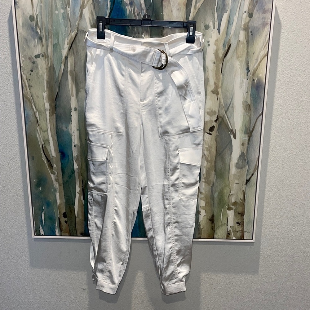 Banana Republic Belted Silk cargo pants ✨